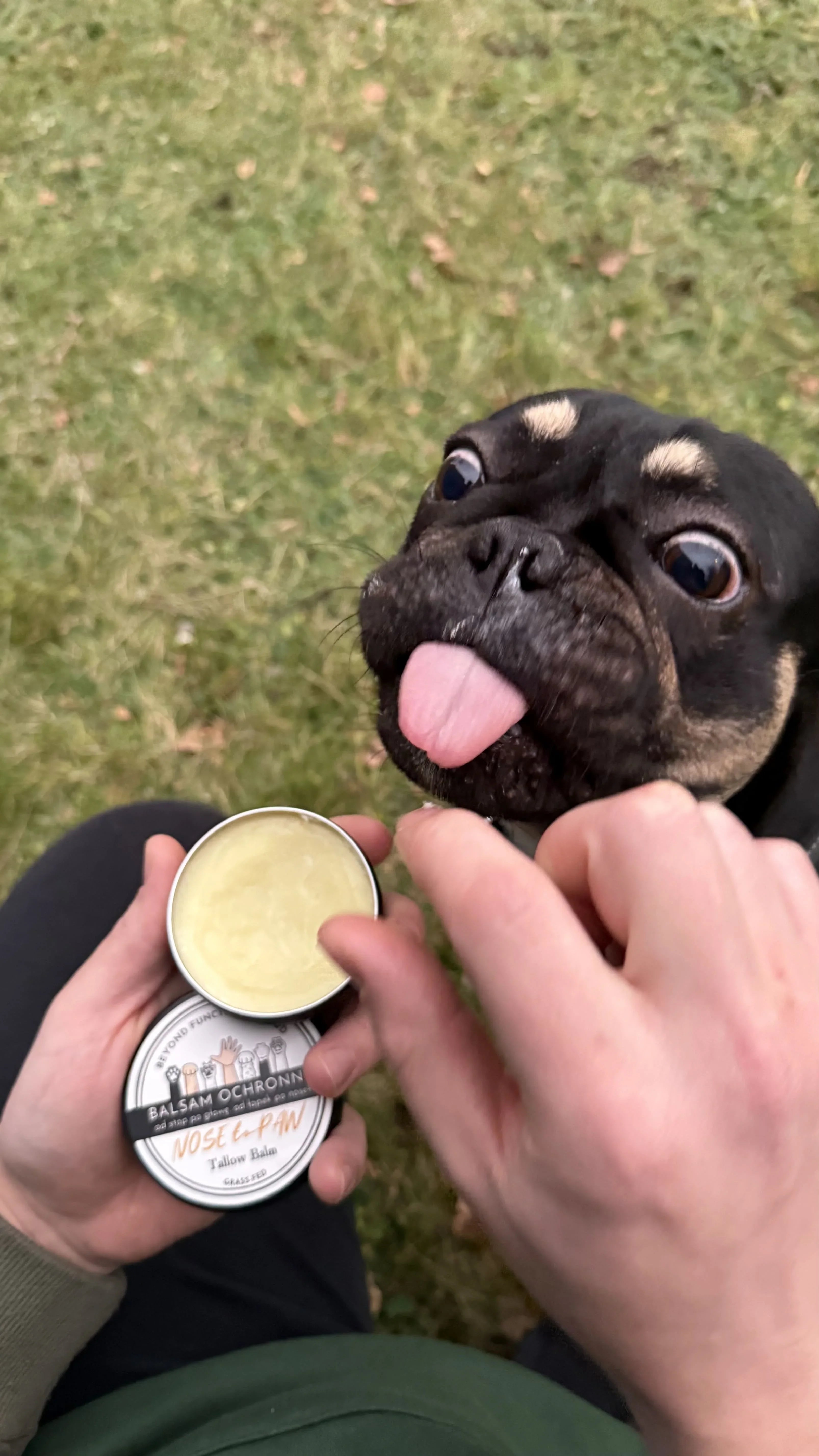 Nose to Paw Tallow Balm - Beyond Functional Food