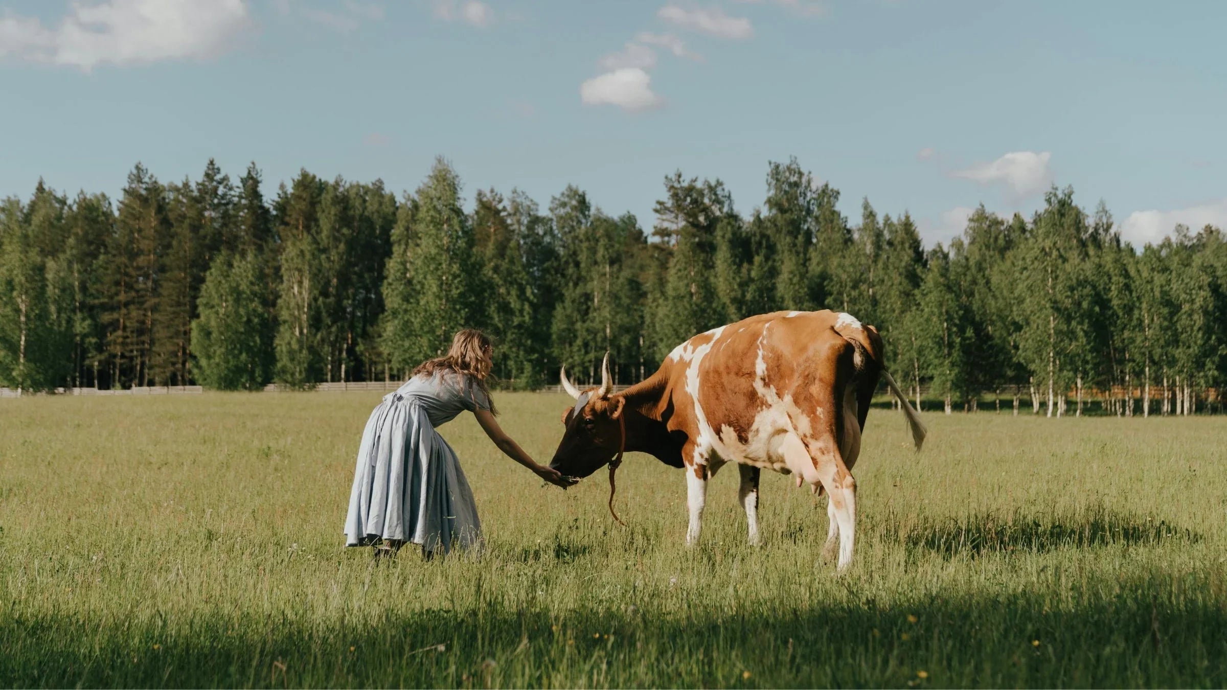 Balsam z łoju - Beyond Functional Food