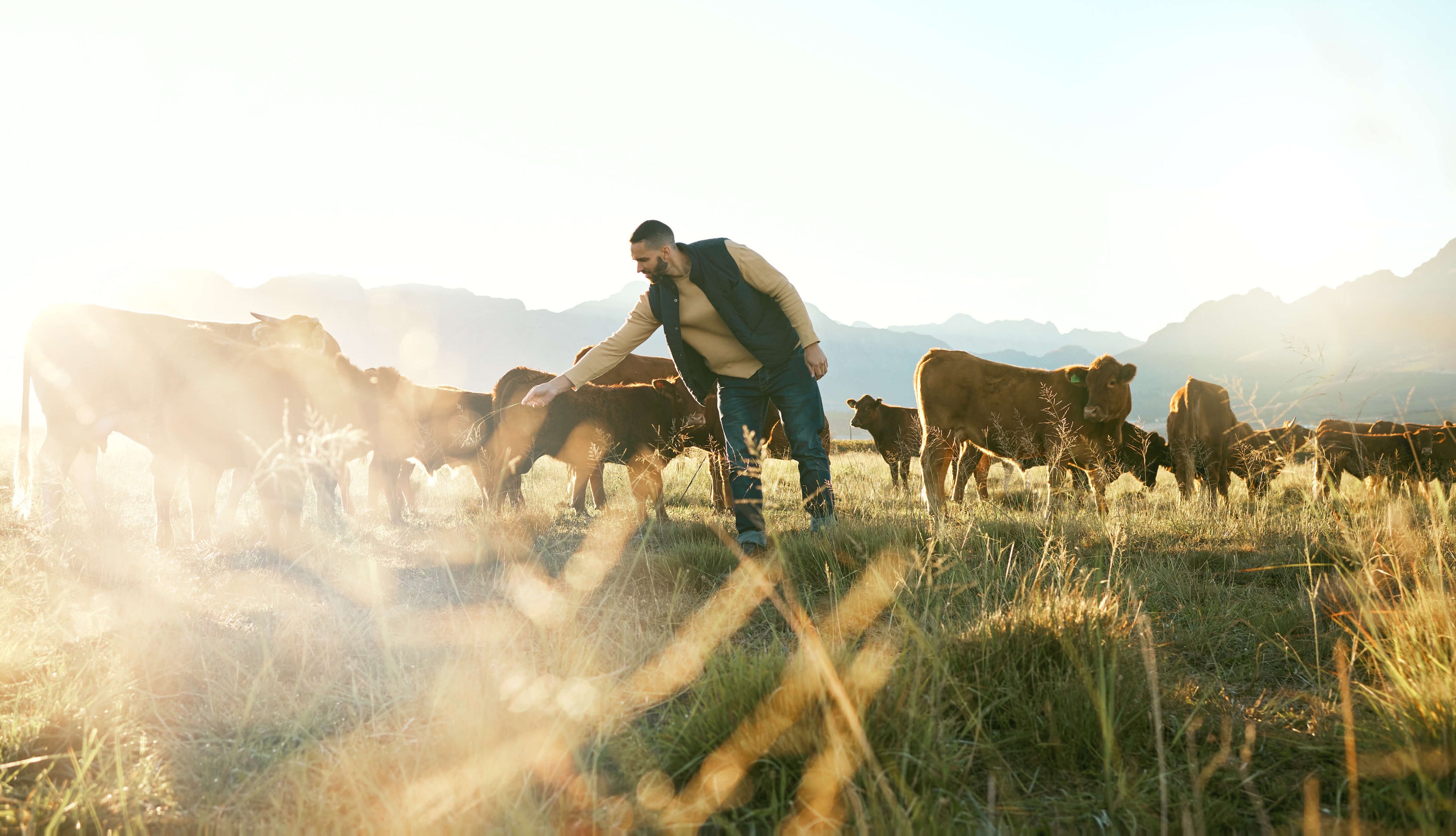 Z szacunkiem dla tradycji przodków